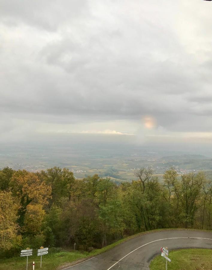 Domaine Du Haut-Koenigsbourg Orschwiller Zewnętrze zdjęcie