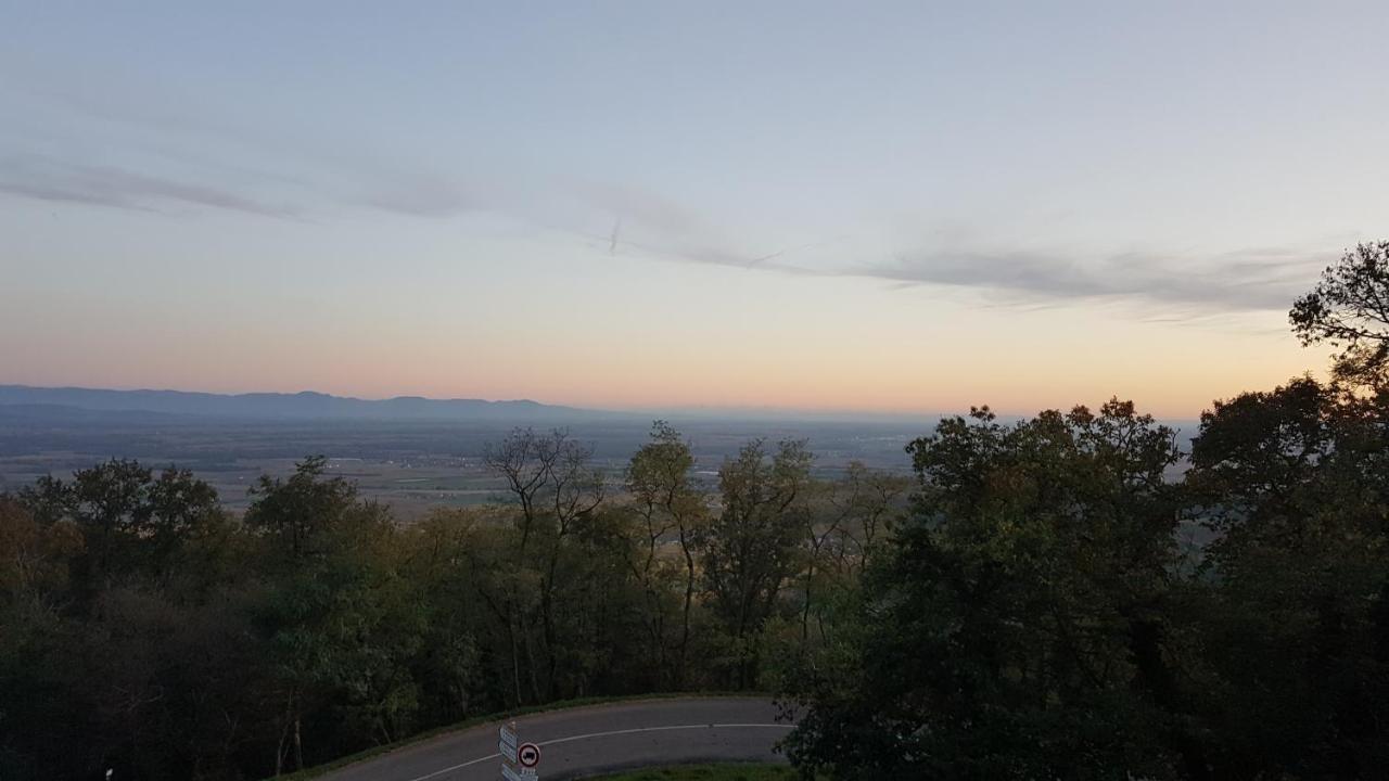 Domaine Du Haut-Koenigsbourg Orschwiller Zewnętrze zdjęcie